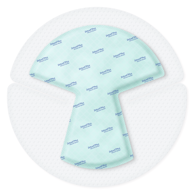 Zetuvit® Plus Silicone Border sterili, sigillate singolarmente 25 x 25 (18,6x17,2) cm Heel