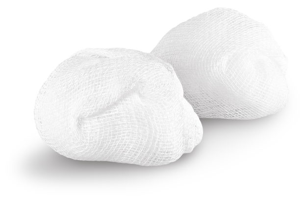 Pagasling® Tampon roulé non-stérile non stérile P2x500 prune, T. 3 P2x500