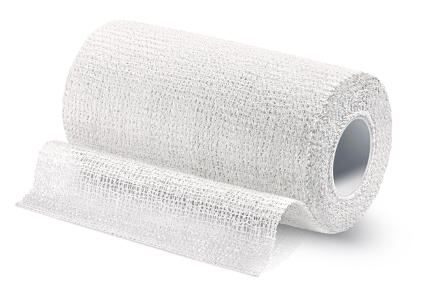 Varolast® plus einzeln verpackt in FS 10 cm x 10 m