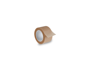 DermaPlast® Isopor Vlies Fixierpflaster P12, beige 2,5cm x 9,2m