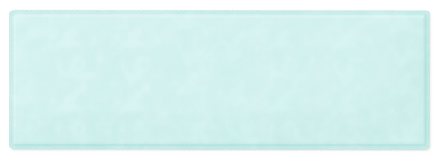 Zetuvit® Plus 20 x 60 cm